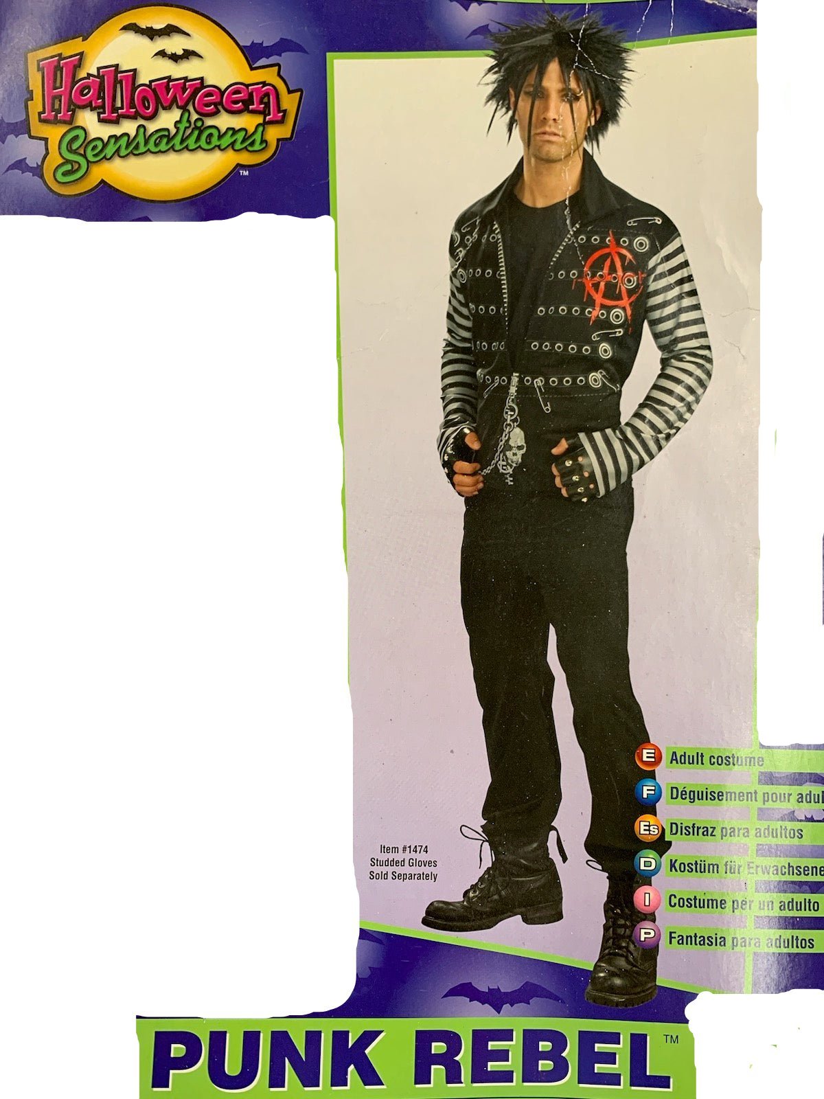 Punk Rebel