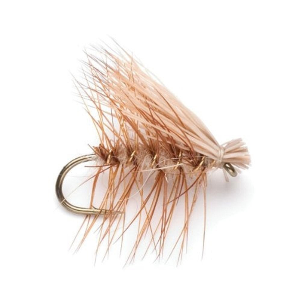 Western Trout Fly Assortment - 24 Essential Trout Flies with Fly Box