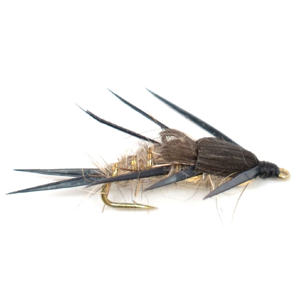 Western Trout Fly Assortment - 24 Essential Trout Flies with Fly Box