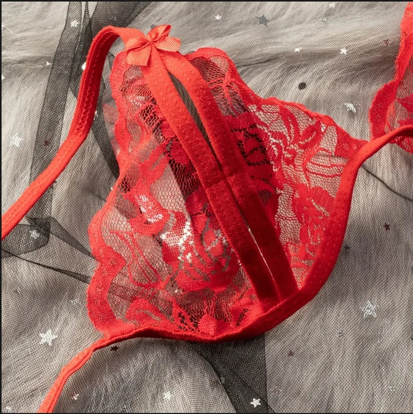 Transparent Sexy Lace Bra Set Exotic Sets Hollow Bra And Panty Women Prints Intimates Underwear Porn Fancy Sexy Luxury Lingerie