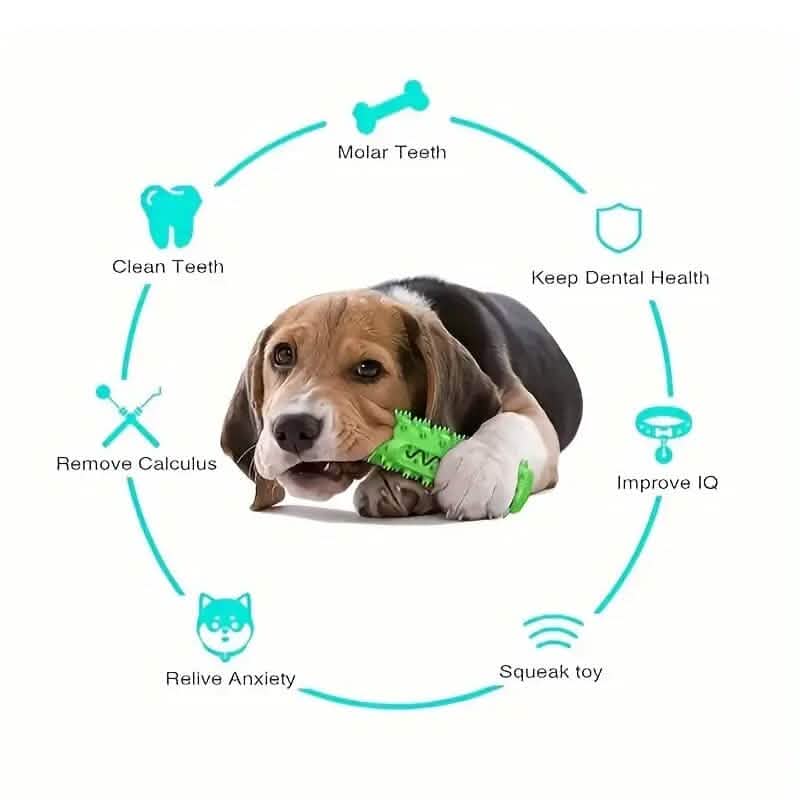 Dog Chew Toys Dog Toothbrush Stick