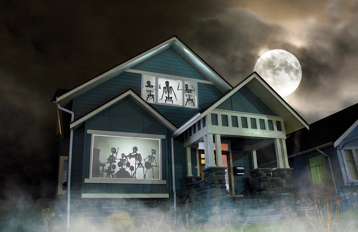 AtmosFX Bone Chillers Halloween Digital Decoration on DVD