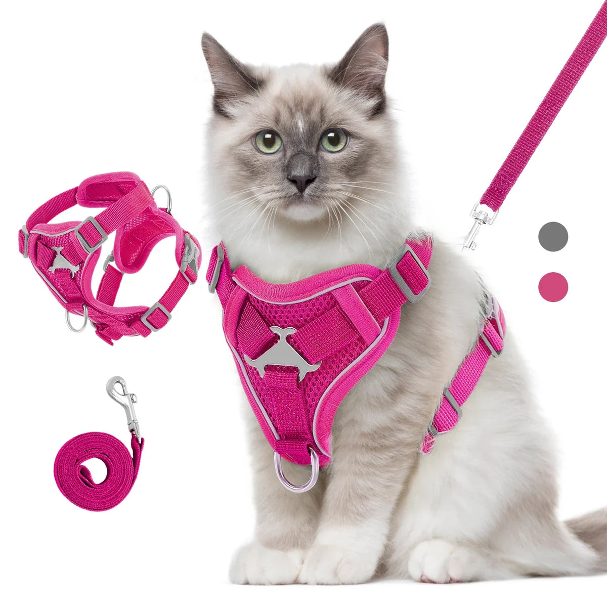 Cat Harness and Leash Set for Safe Adventures