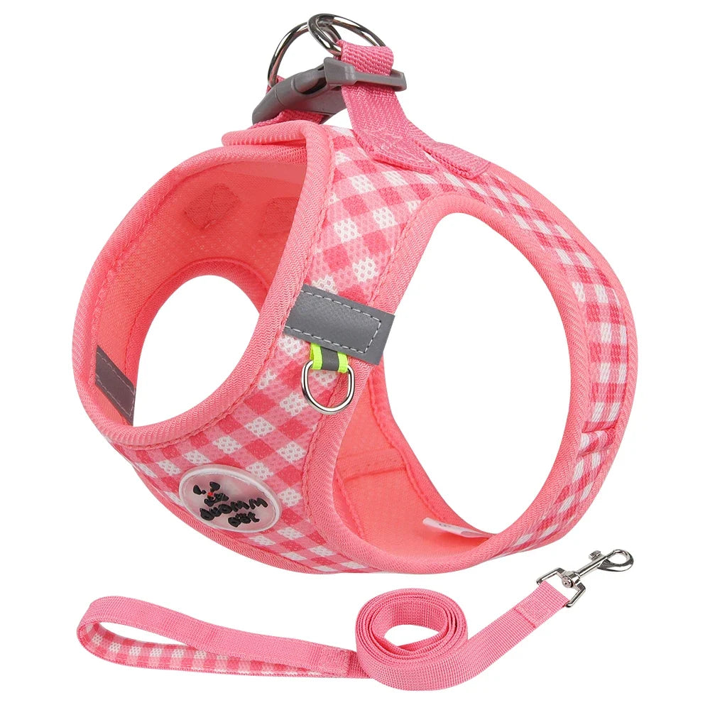 Stylish Checkered Cat Harness and Leash Set for Safe Adventures