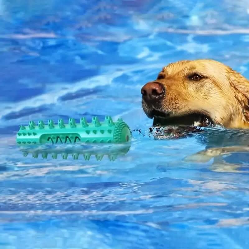 Dog Chew Toys Dog Toothbrush Stick